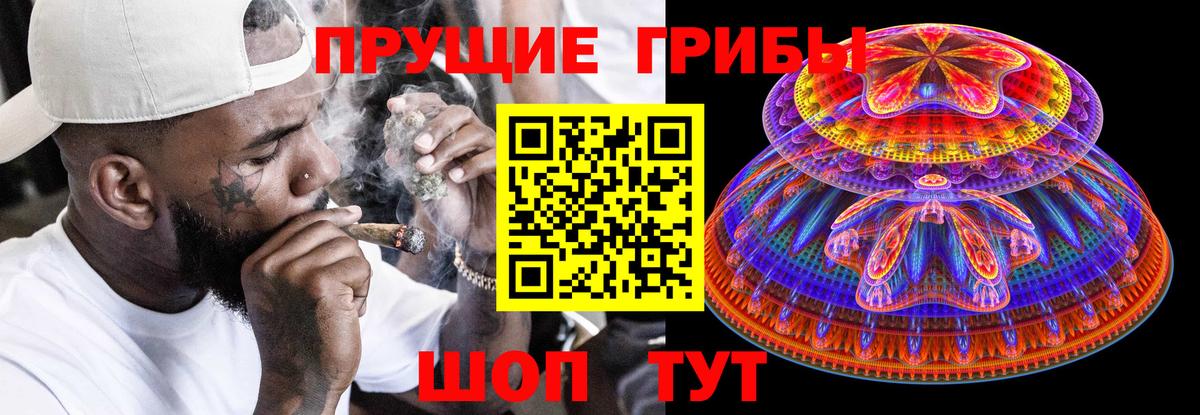 Галлюциногенные грибы Psilocybine cubensis Менделеевск