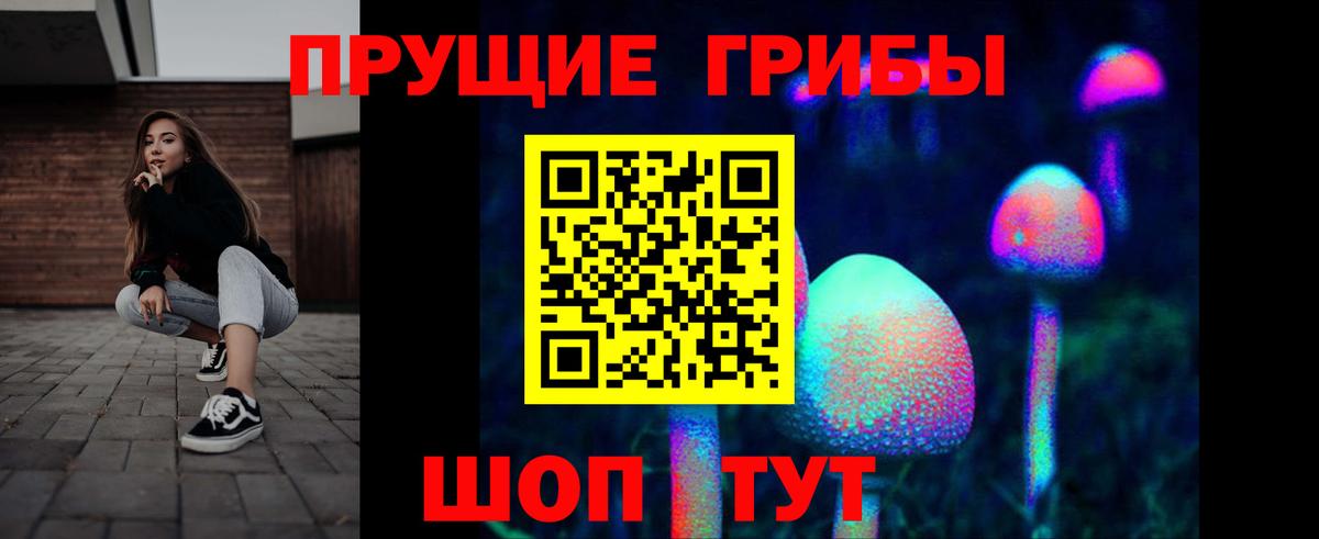 Менделеевск  Галлюциногенные грибы Cubensis  Вход с VPN 